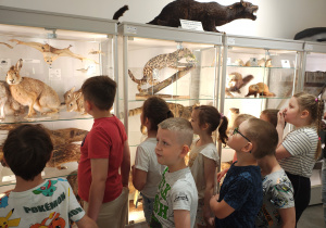 Dzieci oglądające zwierzęta w gablotach Muzeum Przyrodniczego.