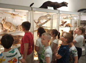 Grupa II w Muzeum Przyrodniczym