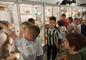 Dzieci oglądające zwierzęta w gablotach Muzeum Przyrodniczego.
