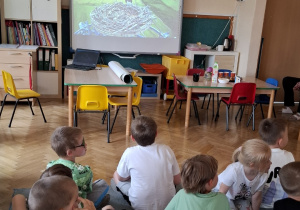 Przedszkolaki siedzą na dywanie przodem do tablicy multimedialnej. Na tablicy wyświetlany jest film o ptakach.