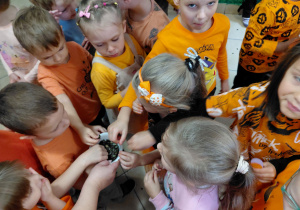 Przedszkolaki ubrane na pomarańczowo jedzą pestki dyni.