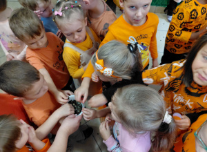 Dzień Dyni w przedszkolu