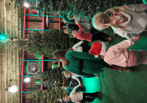 Przedszkolaki wraz z kobietą przebraną za elfa maszerują w wężyku między choinkami.